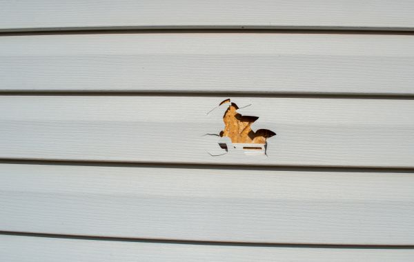 Cost of Siding Hole Patching in Irving